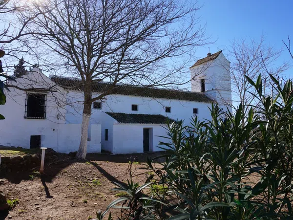 Cortijo en Cortijo en Carretera Mairena del Alcor, Brenes, 4 Km - Foto 5