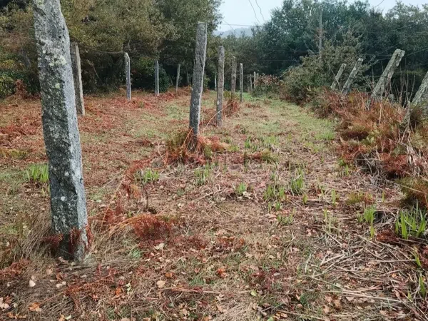 Casa de pueblo en Sinde Carcacía, 1 - Foto 11