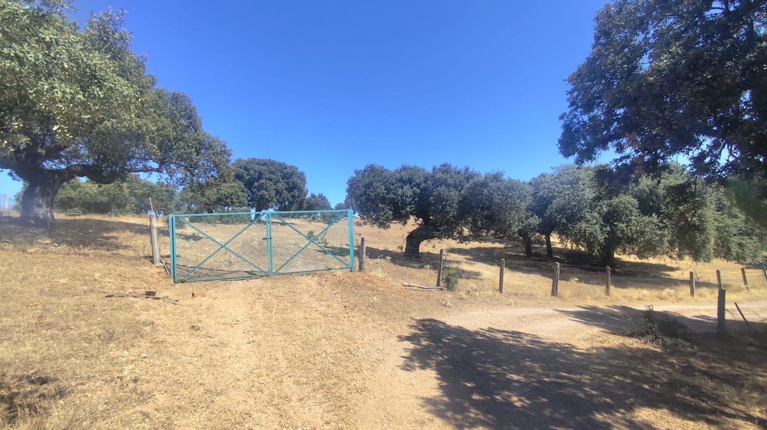 Finca rústica en Avenida de Constitución s/n - Foto 23