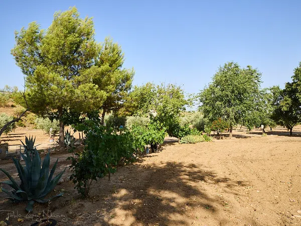 Finca rústica en Camino de la Mata s/n - Foto 17