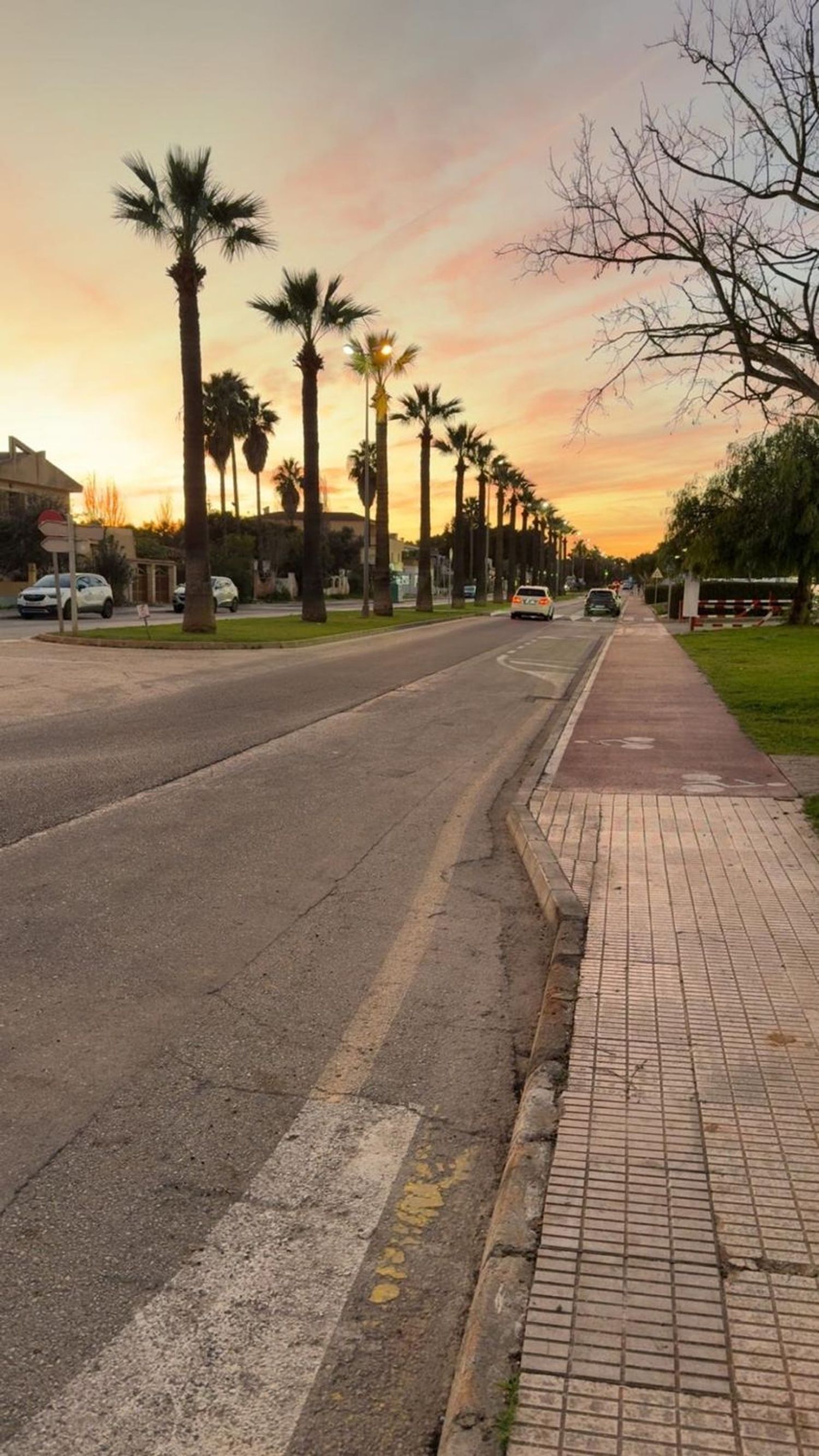 Piso en Avenida de ses Palmeres, 69 - Foto 9