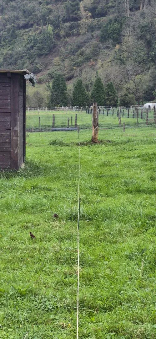 Finca rústica en  Lugar Godos 9 - Foto 14