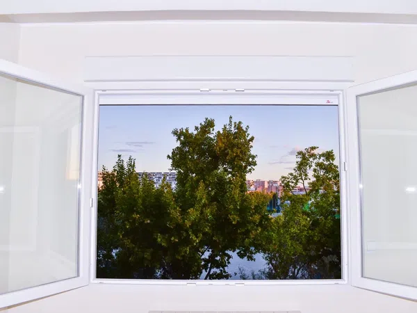 Piso en paseo Echegaray y Caballero, 36