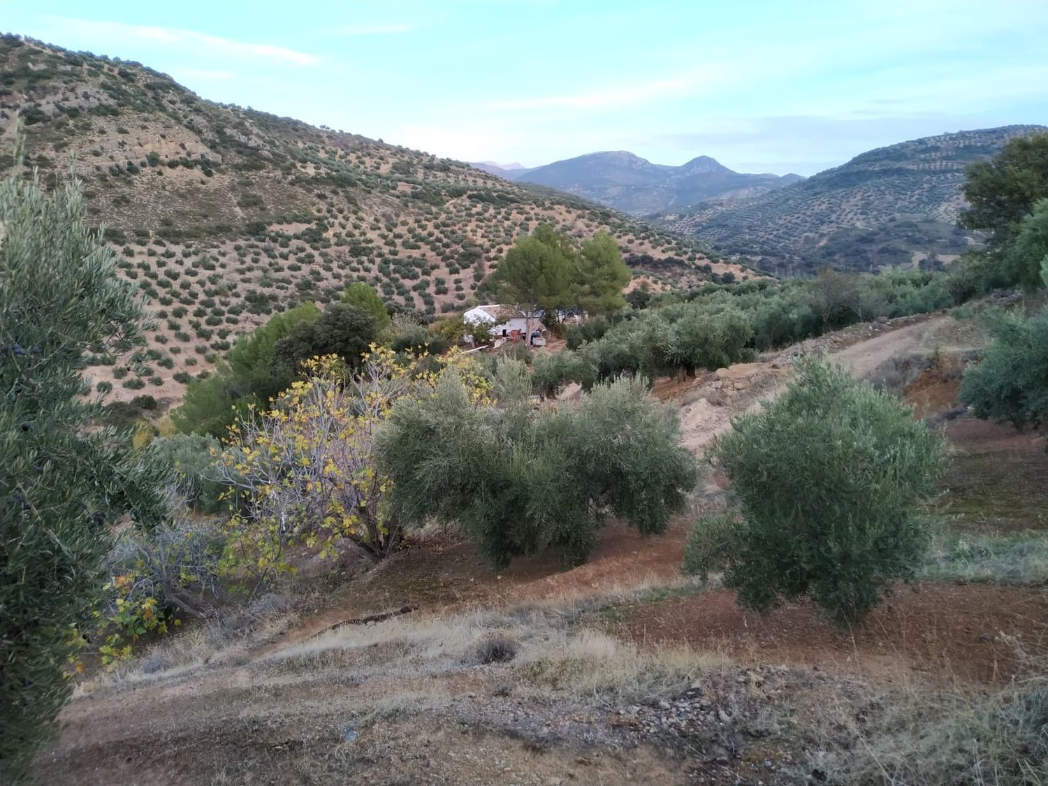 Cortijo en Calle Sierra Grande, 1 - Foto 12