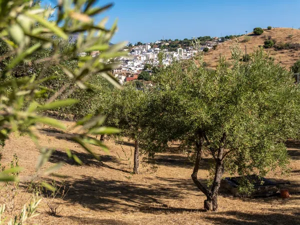 Finca rústica en San Anton, 110 - Foto 33