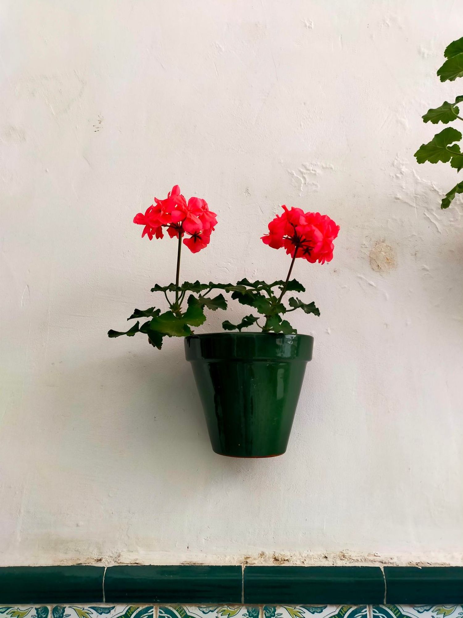 Casa independiente en calle Montaño, 10 - Foto 23