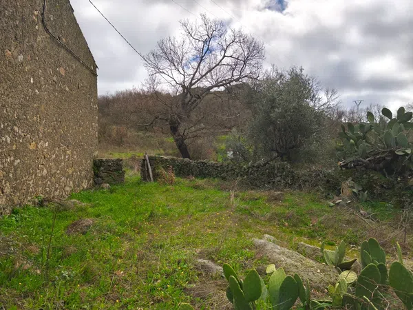 Finca rústica en Poblado los Arroyos de Abajo, 39 poligonoparcela - Foto 7