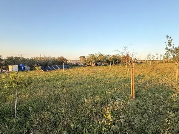 Finca rústica en Ca-4201 s/n, Barrio Nuevo, Barrio Nuevo - Foto 22