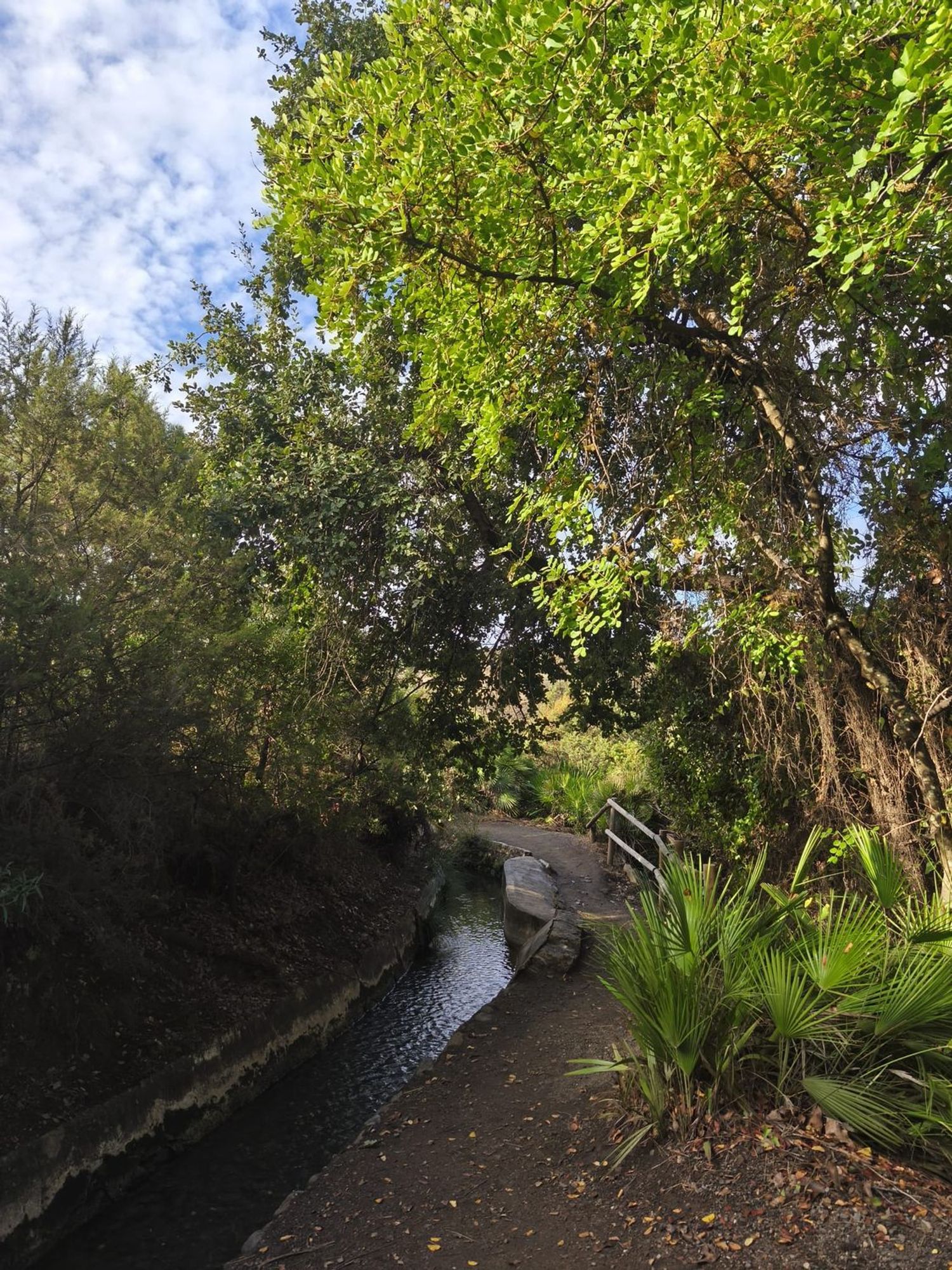 Piso en Urbanización Las Lomas, 14, Benahavís, Benahavís - Foto 23
