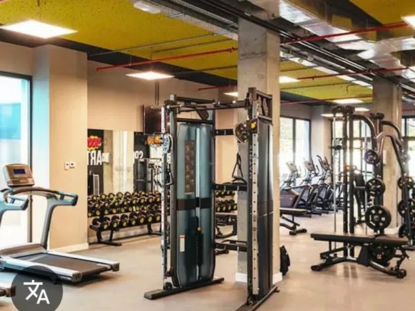 Estudio en calle Antonio Maura Montaner, 3 - Foto 3