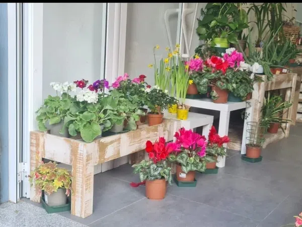 Local en Floristería en Eixample, Eixample - Foto 4