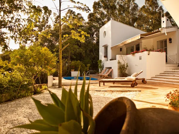 Casa o chalet independiente en Calle de la Palmera, 6, Las Lomas - Foto 21