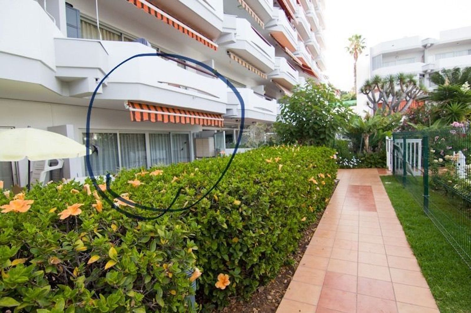 Estudio en Distrito Botánico - Foto 17