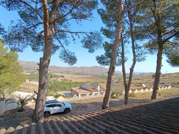 Casa o chalet independiente en Carretera a Hondón de los Frailes s/n - Foto 22