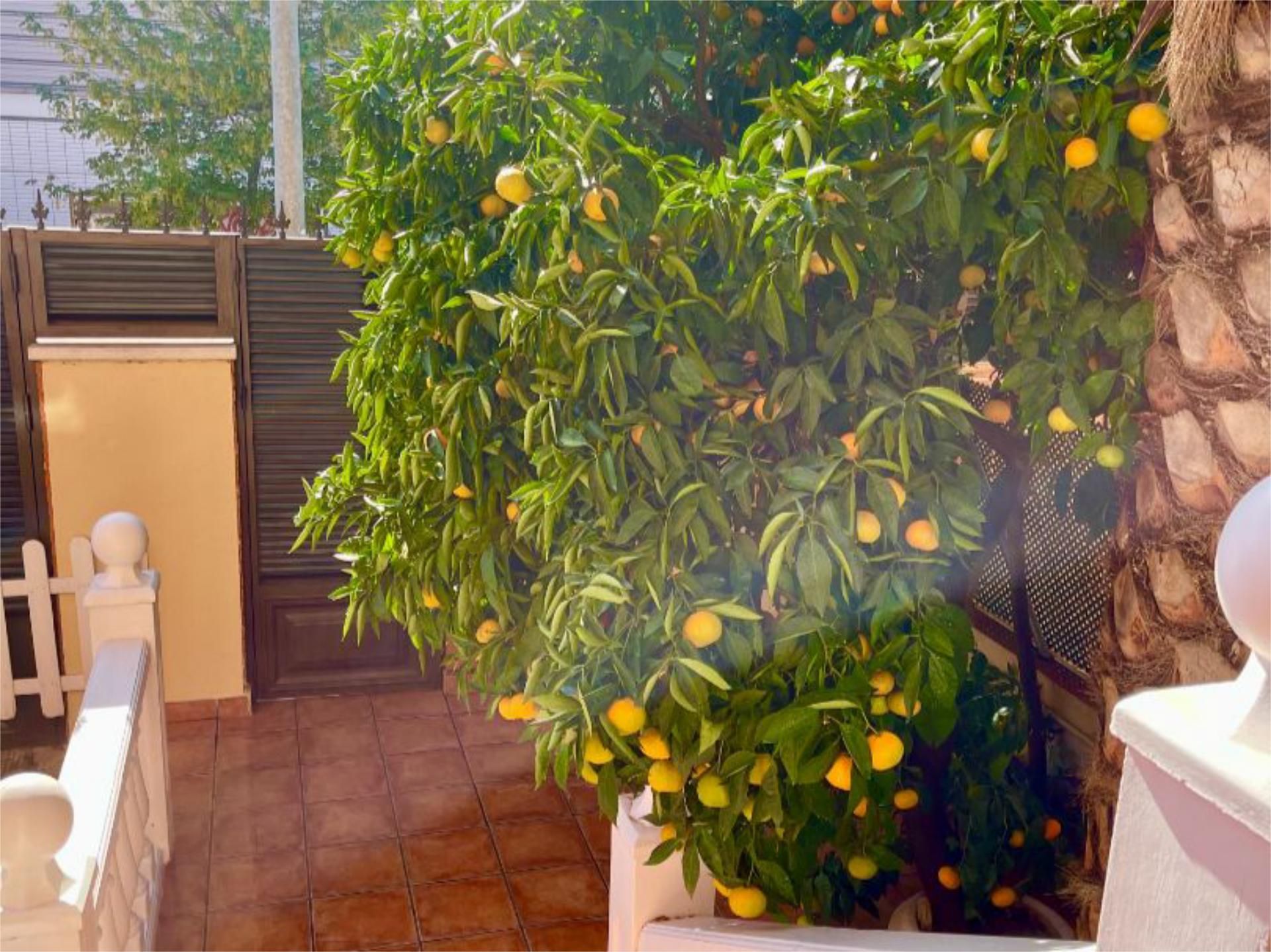 Chalet en Alcalá de Henares - Foto 4