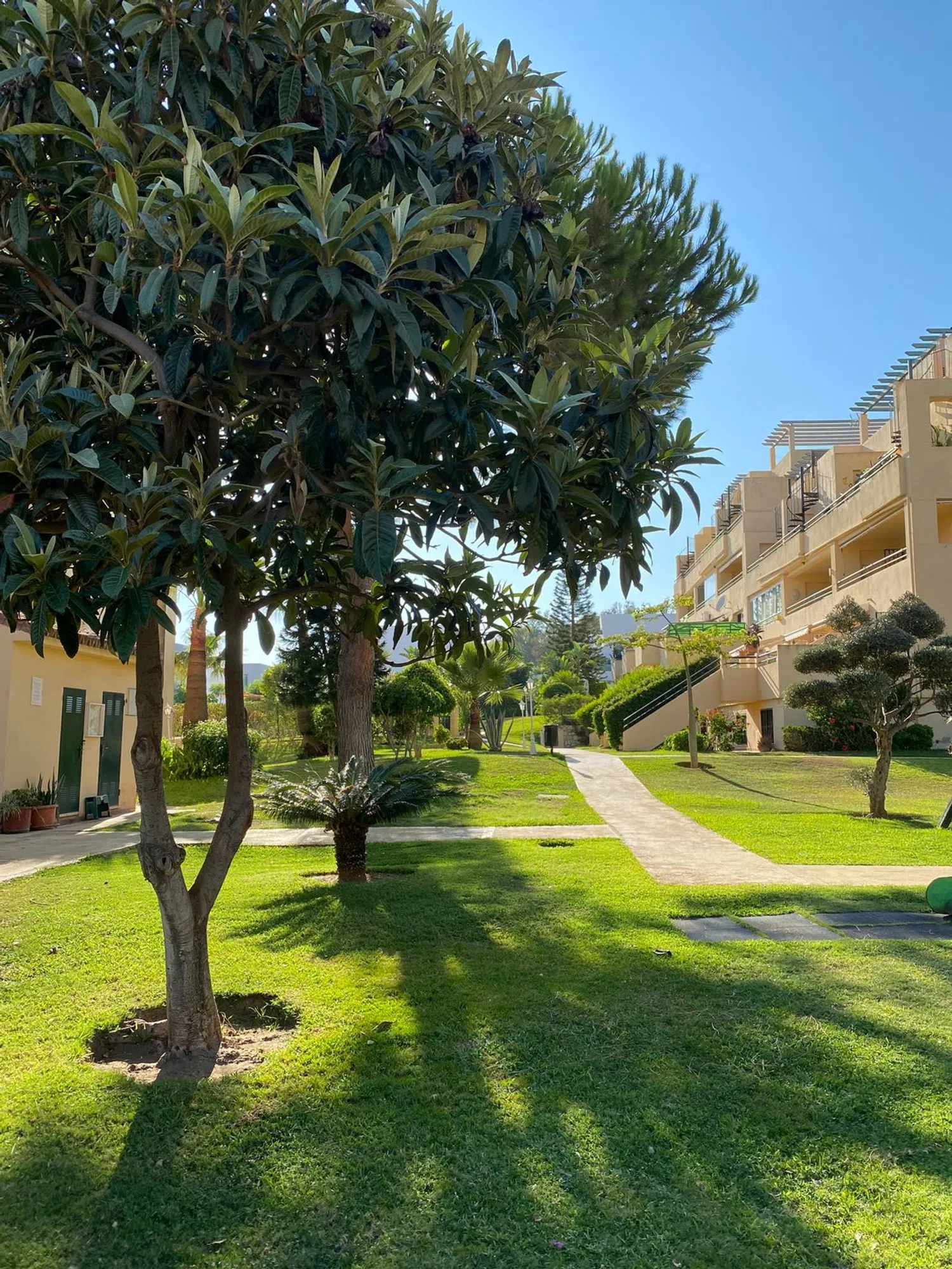 Dúplex en calle Lince Iberico, 2 - Foto 4
