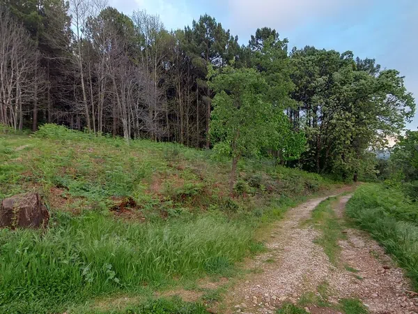 Casa o chalet independiente en Carretera Forestal de la Pregonera, 924 Av - Foto 3