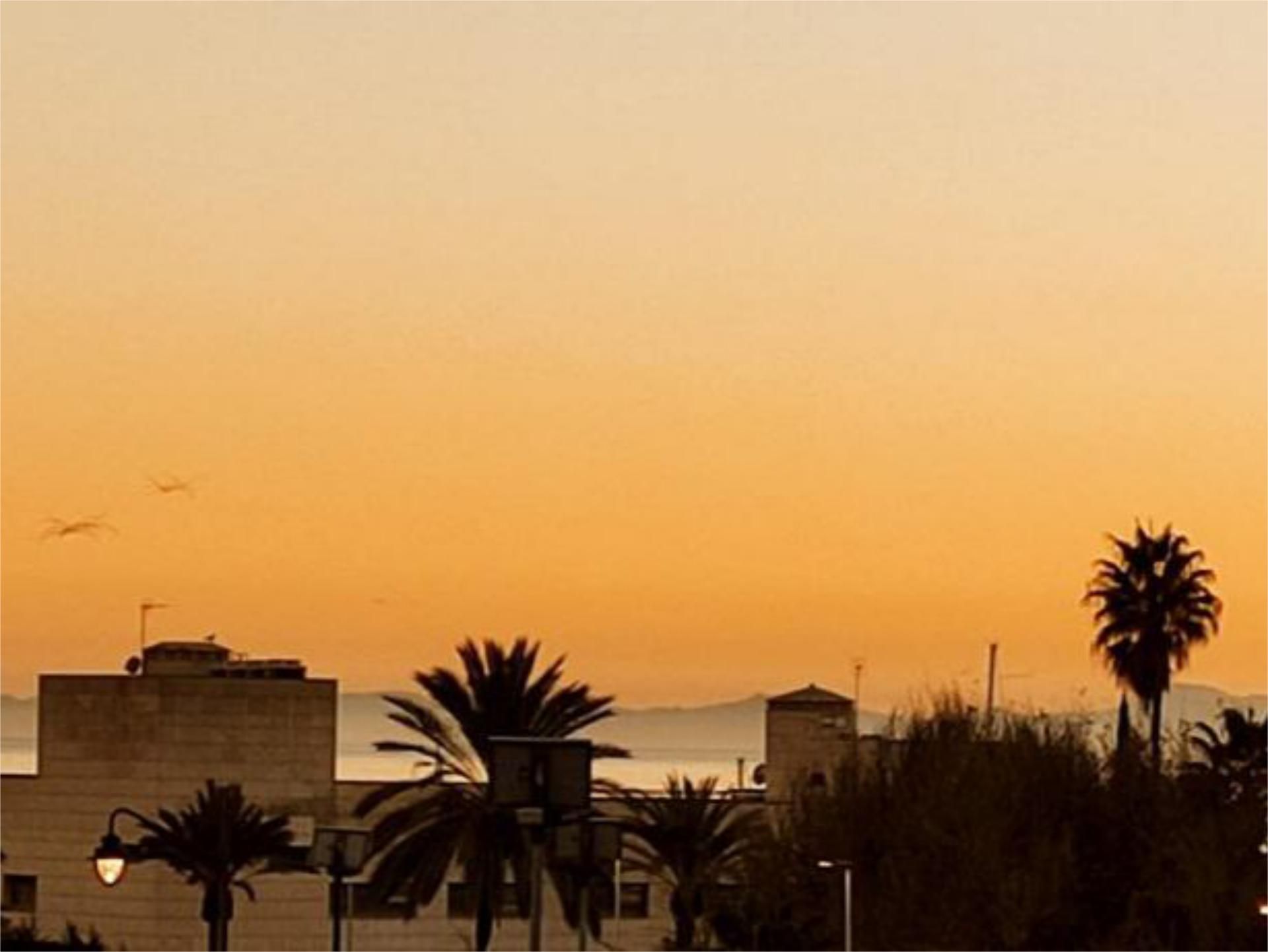 Piso en  Avenida Puerta del Mar 12 - Foto 32