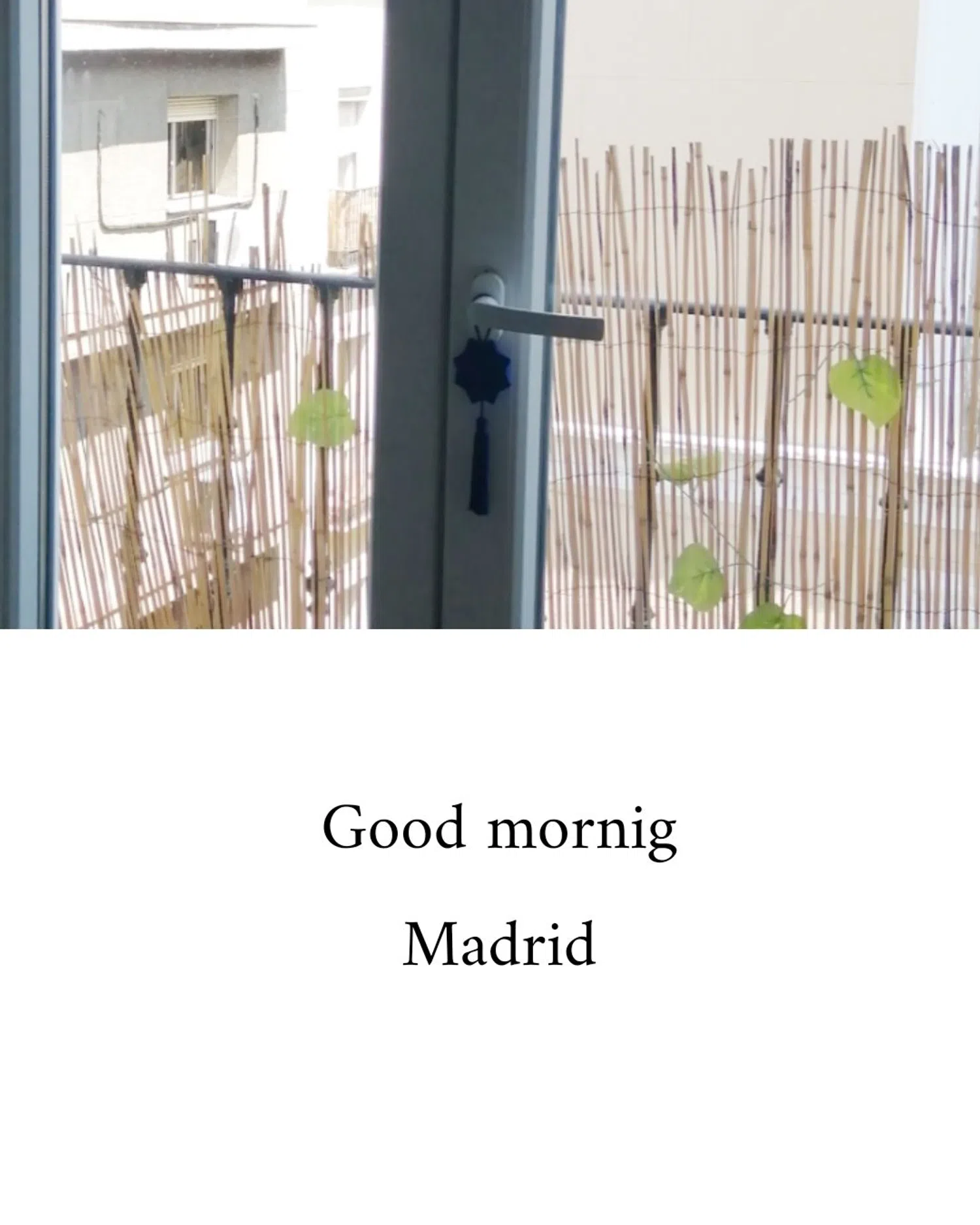 Piso en calle de Moratín, 42 - Foto 2