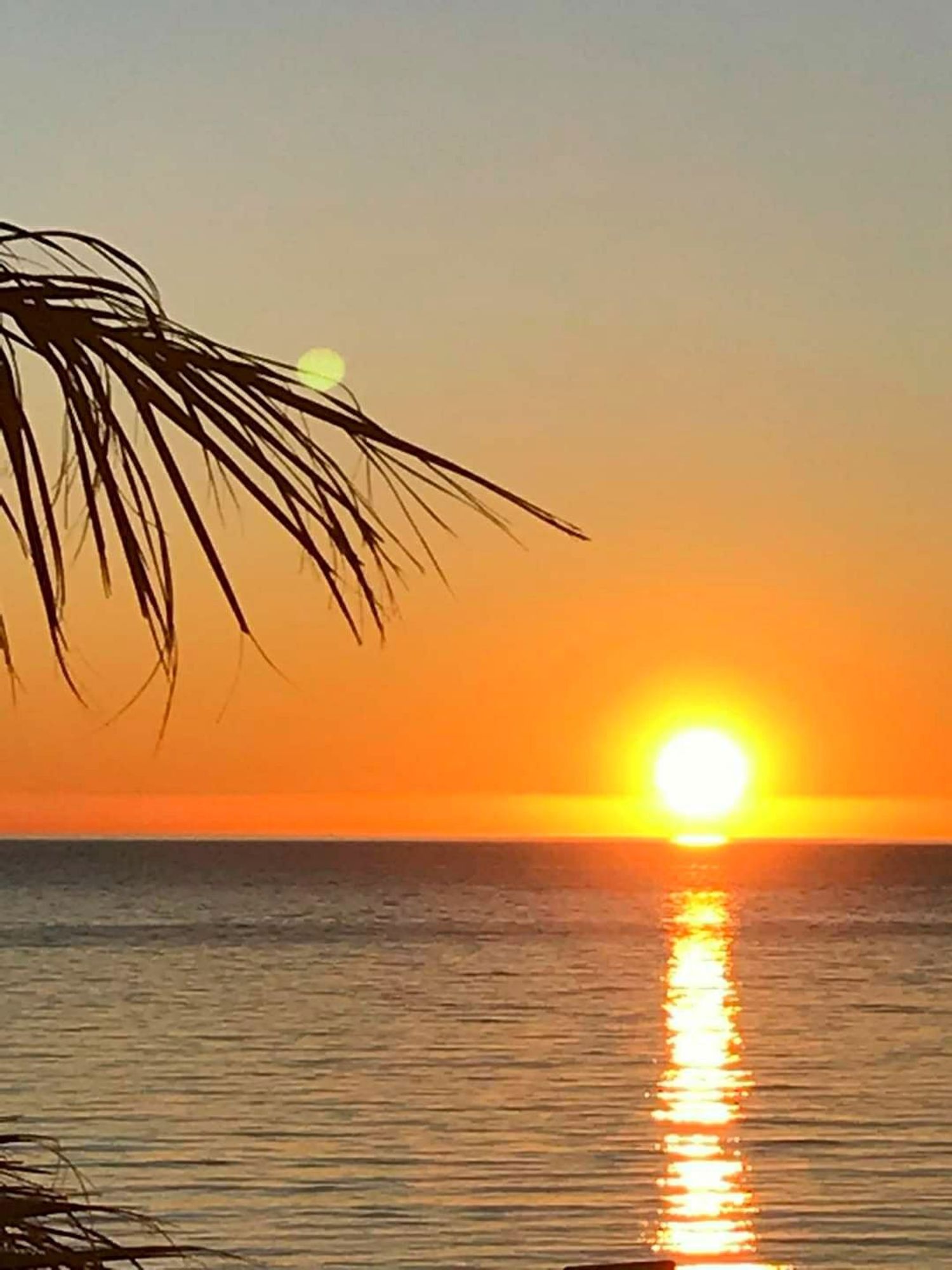 Piso en avenida de Bartomeu Riutort, 37 - Foto 14