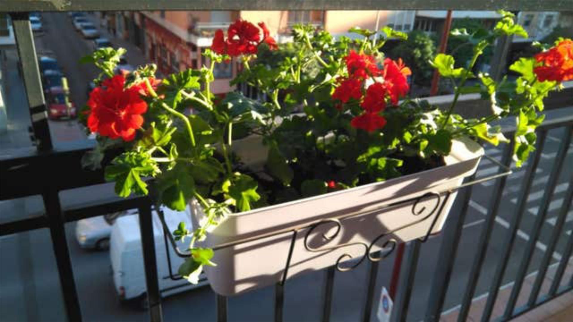 Piso en Los Remedios - Foto 6