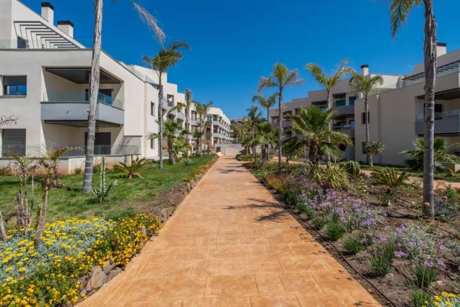 Ático en calle Celestina, 1 - Foto 38