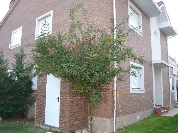 Chalet pareado en Calle Teresa de Jesús, 8 - Foto 22