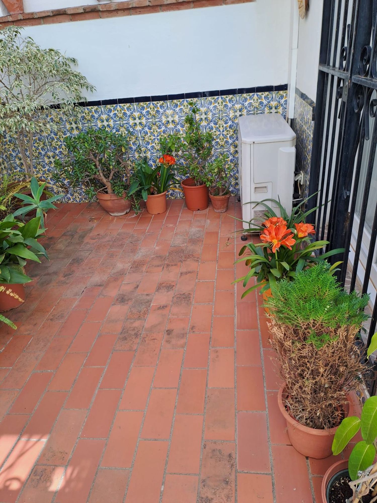 Casa o chalet independiente en Calle Gabriel y Galán, 9, Pedregalejo - Morlaco - Foto 21