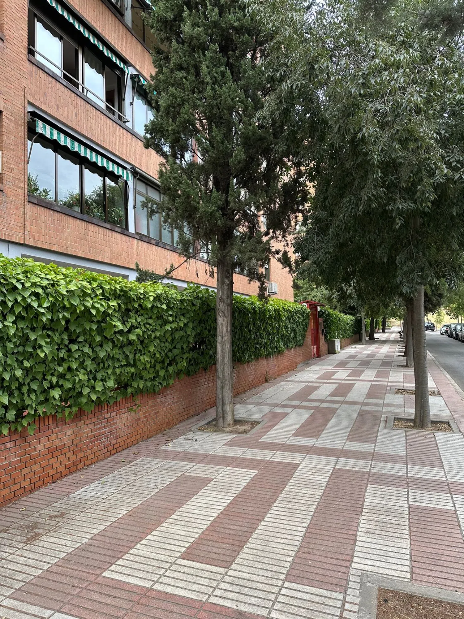 Piso en plaza de las Olivas, 1 - Foto 2