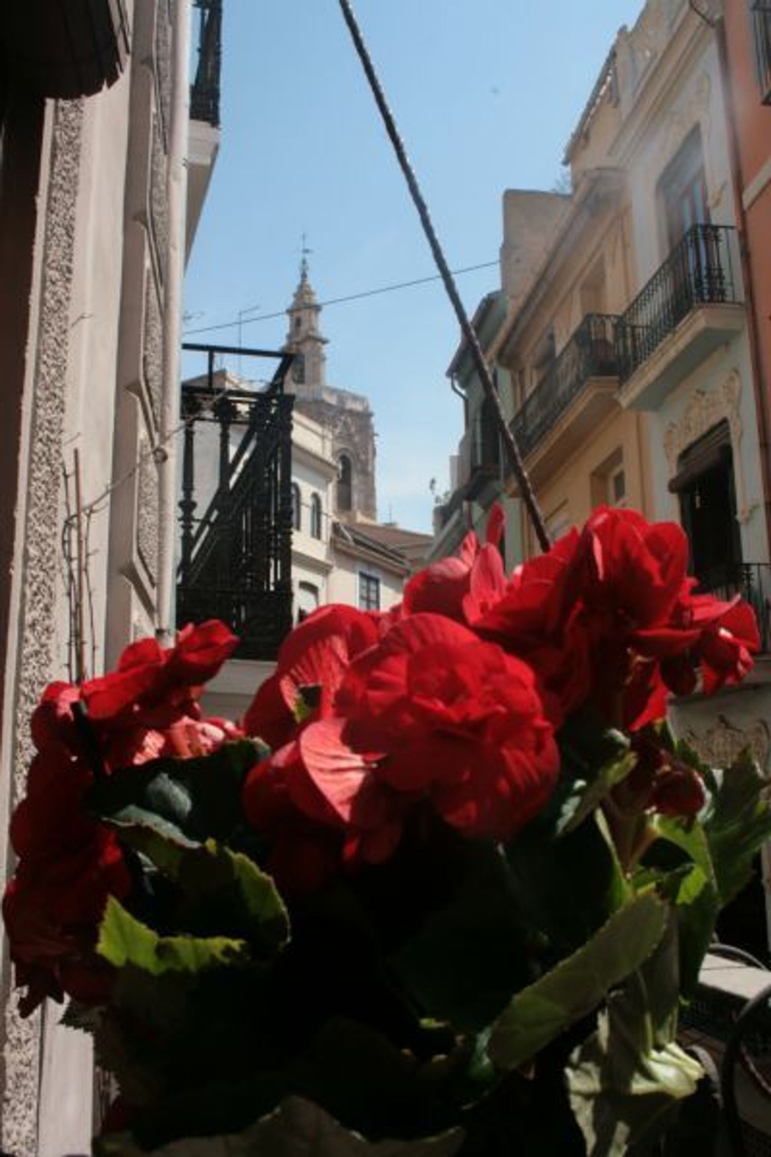 Piso en Calle de la Corretgeria, 34, La Seu - Foto 5