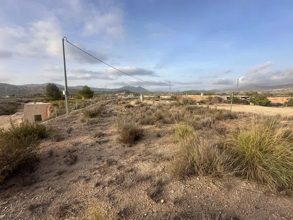 Finca rústica en Diseminado Paraje Salado Bajo, 14 - Foto 11
