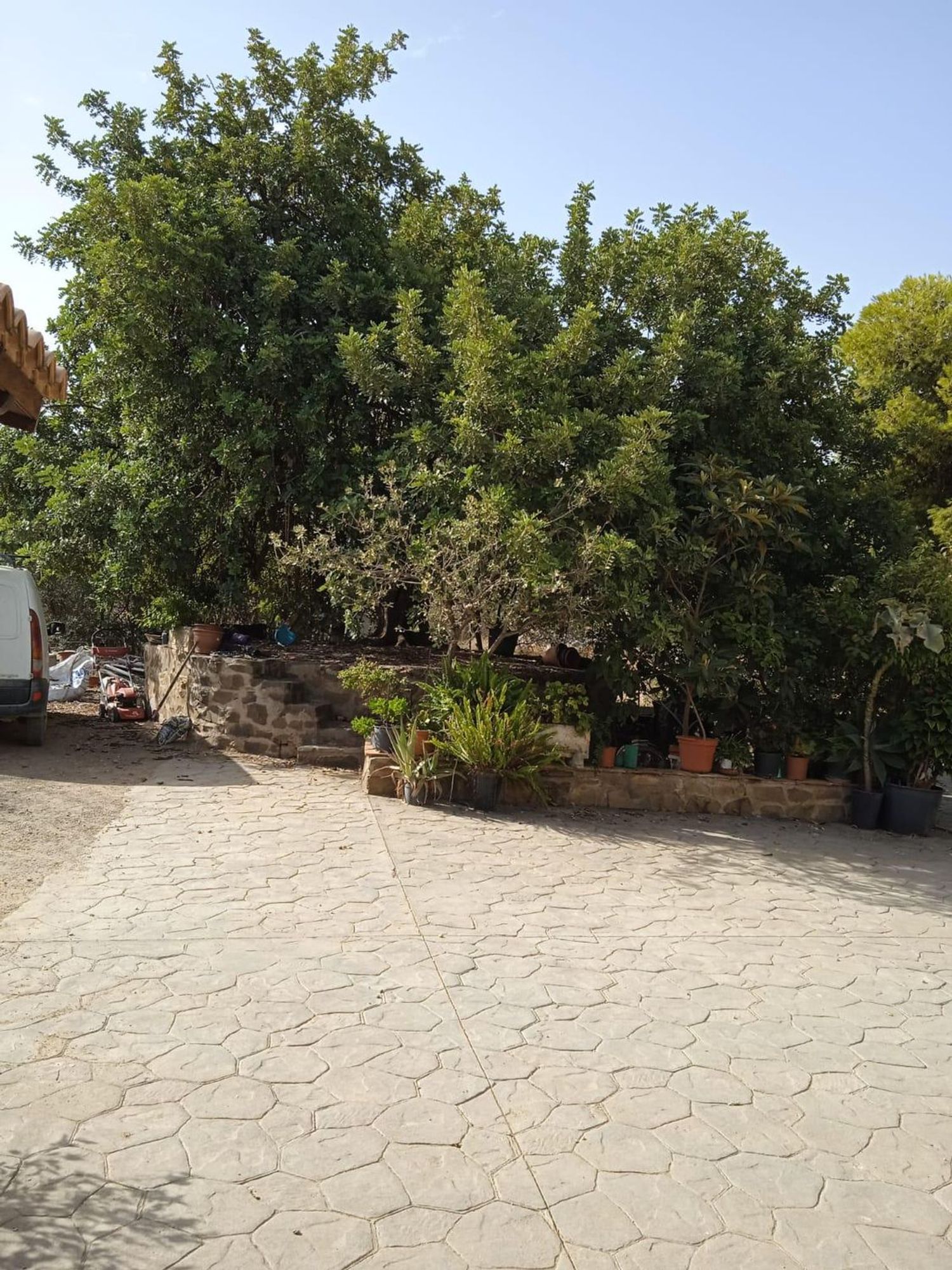 Finca rústica en Calle Sócrates, 56 - Foto 3