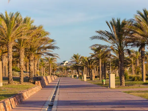 Ático en Avenida de los Juegos del Mediterráneo, 1, El Toyo, El Toyo - Foto 22