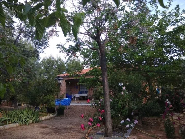 Finca rústica en Los Rubiales, 1 - Foto 24