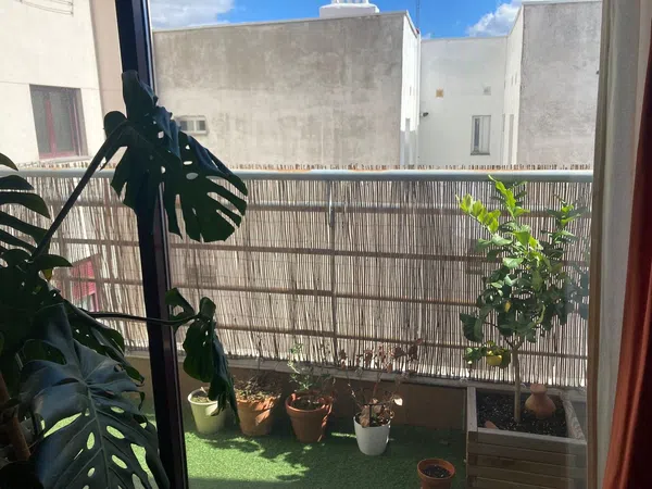 Estudio en Avenida de la Reina Victoria, 7, Vallehermoso - Foto 4