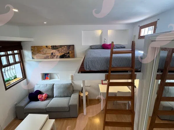 Estudio en Calle de la Torrecilla del Leal, 30, Lavapiés-Embajadores - Foto 6