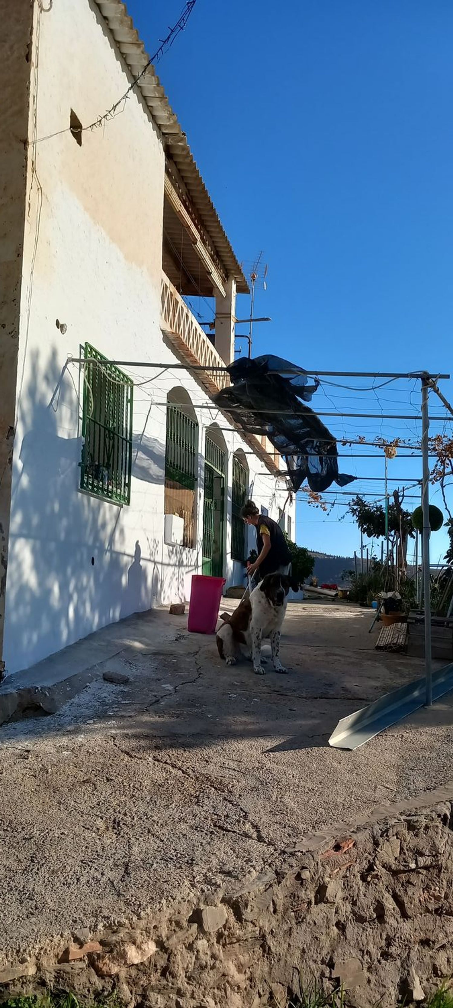 Cortijo en Cortijo en cercado, 22 - Foto 3
