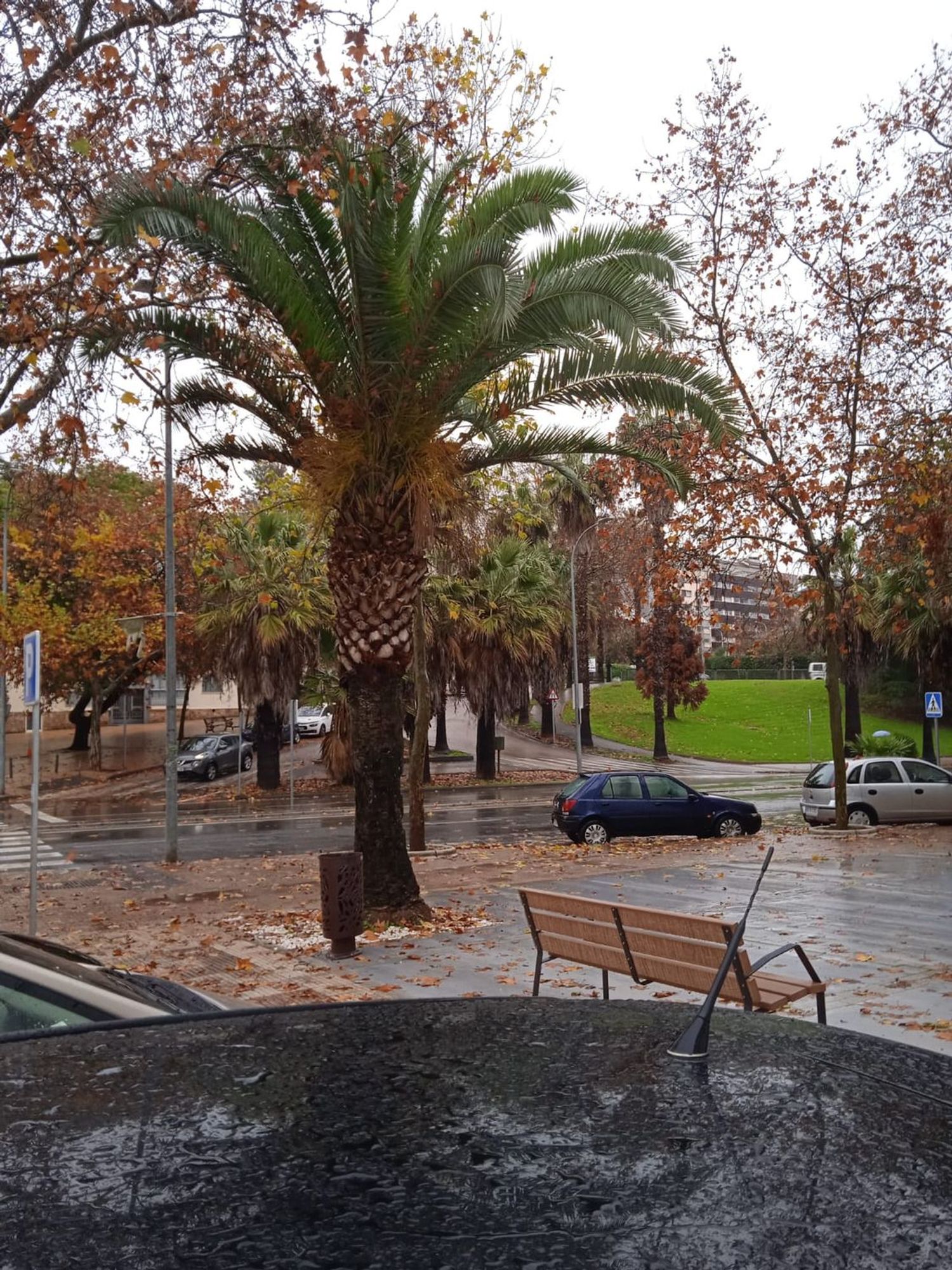 Piso en calle Colón, 20 - Foto 6