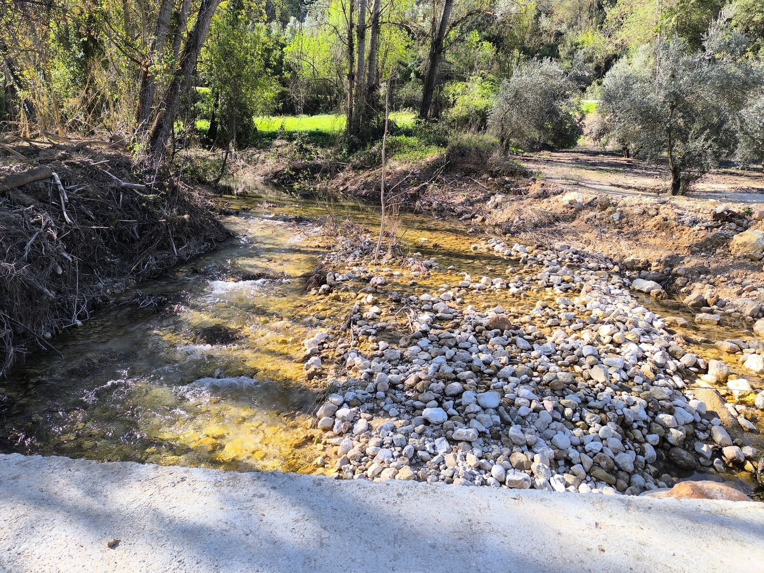 Cortijo en Via Sin Nombre s/n - Foto 25