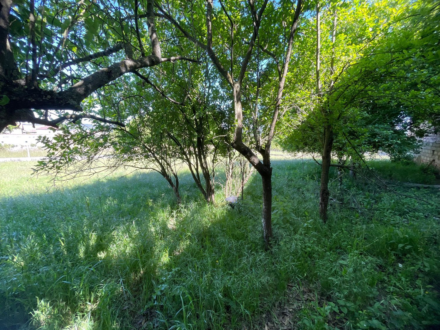 Casa de pueblo en Lg Vilaseca, 145 - Foto 26