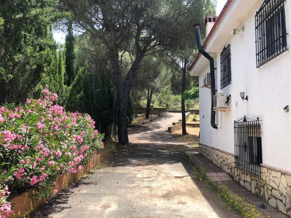 Casa rural en Avenida las Palomas, 14 - Foto 2