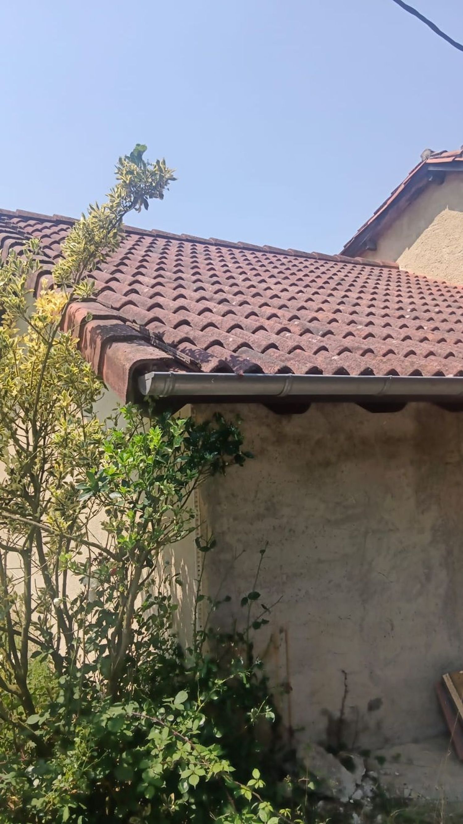 Casa o chalet independiente en Aldea el Ciacal, 28, Ciaño - Zona Rural, Ciaño - Zona Rural - Foto 5