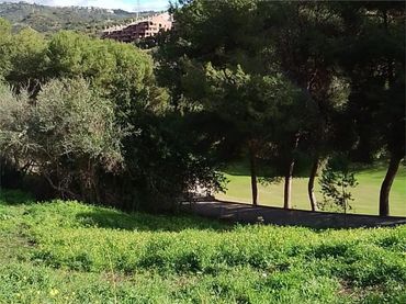 Terreno Residencial en  Paseo del Golf 4 - Foto 8