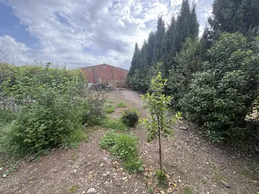 Finca rústica en  Calle Pozo Nuevo 8D - Foto 19