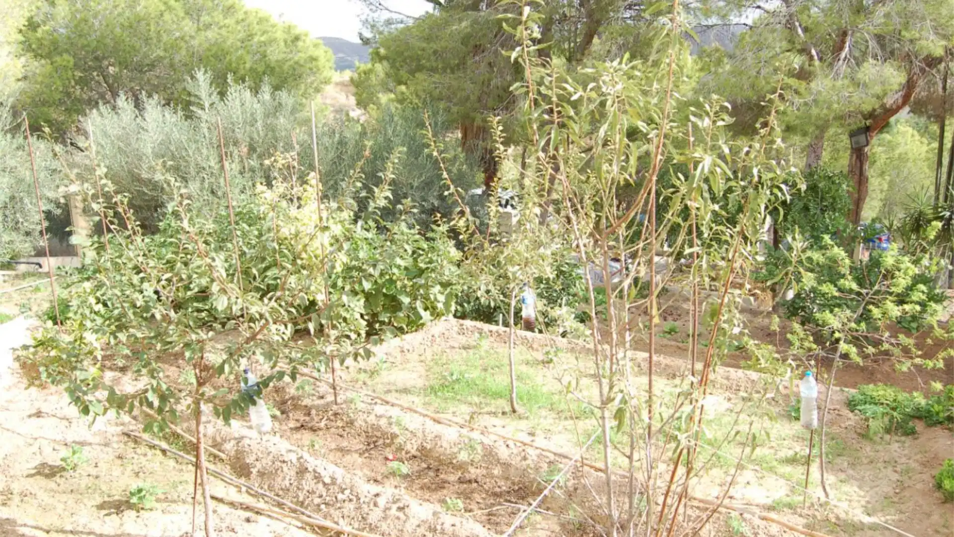 Chalet en  Urbanización la Pinada 37 - Foto 43