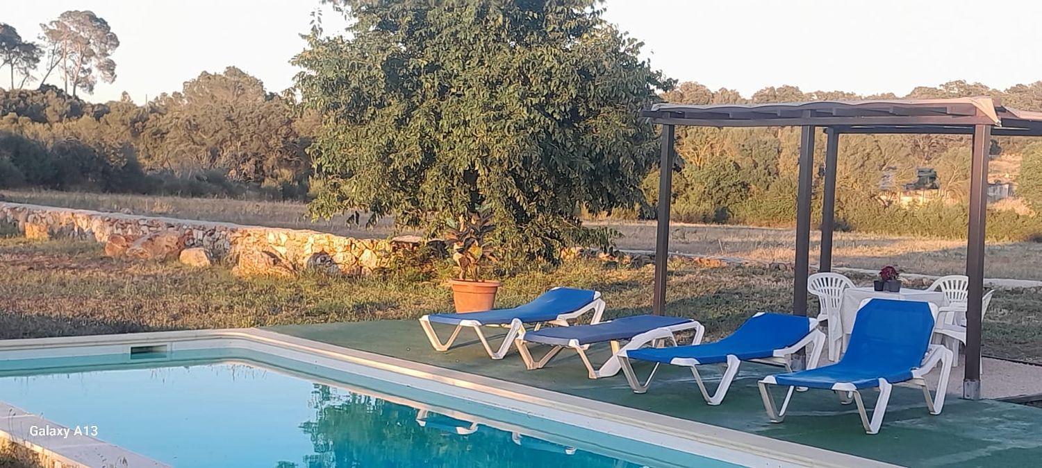 Finca rústica en Diseminado Diseminados Var, 311 - Foto 4