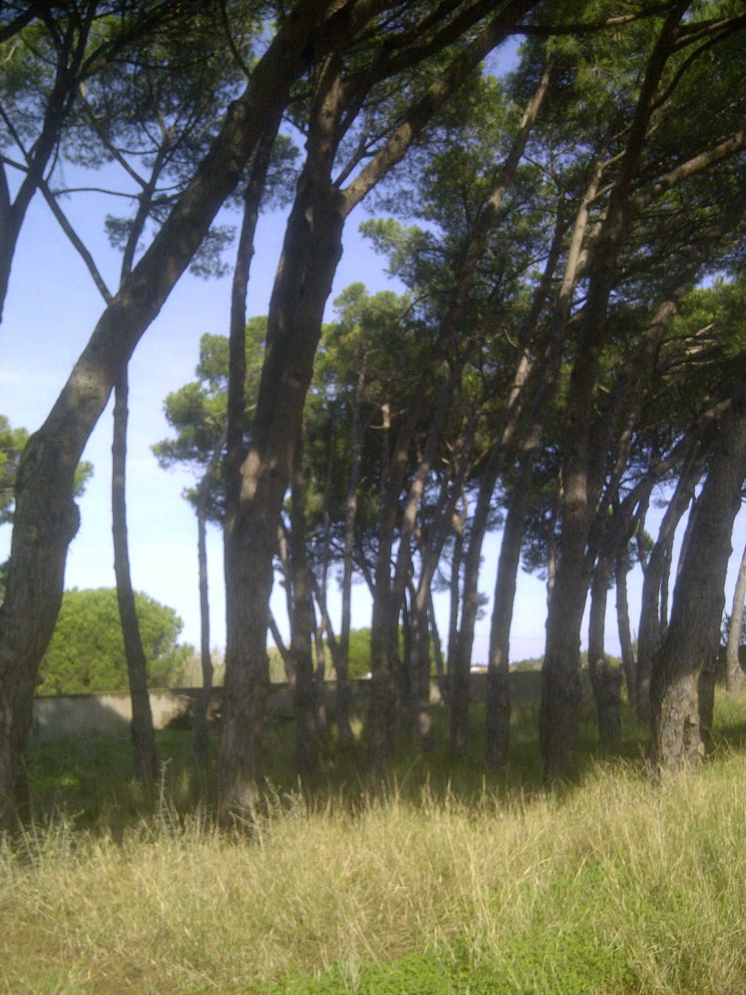 Casa independiente en calle Ceuta s/n - Foto 11