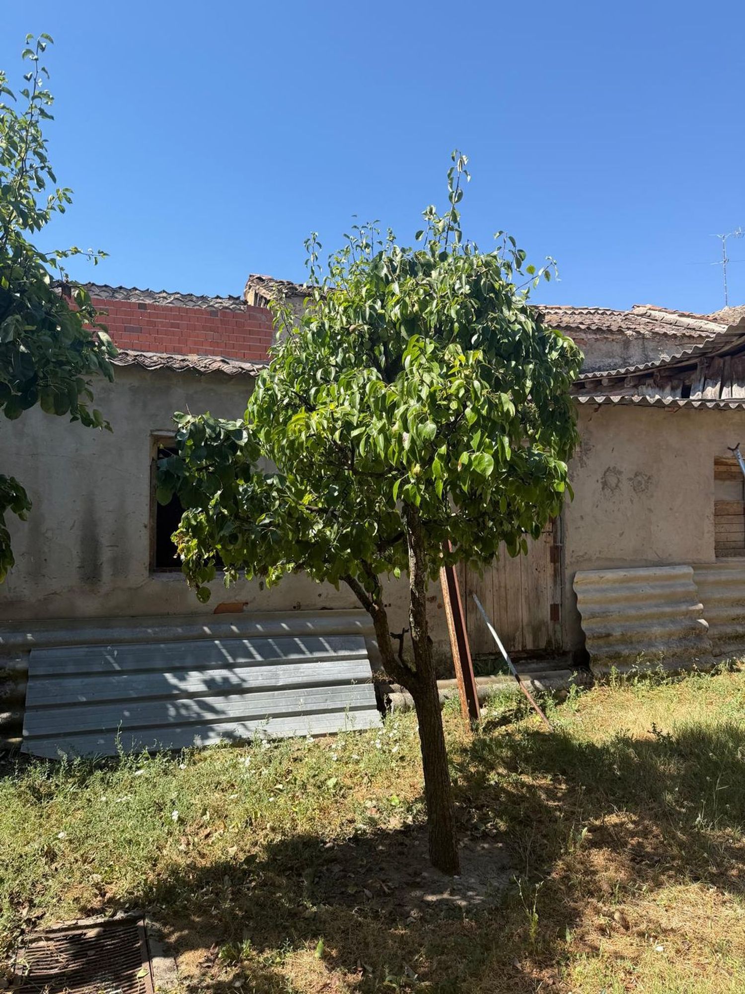 Casa de pueblo en Calle Flores, 12 - Foto 5