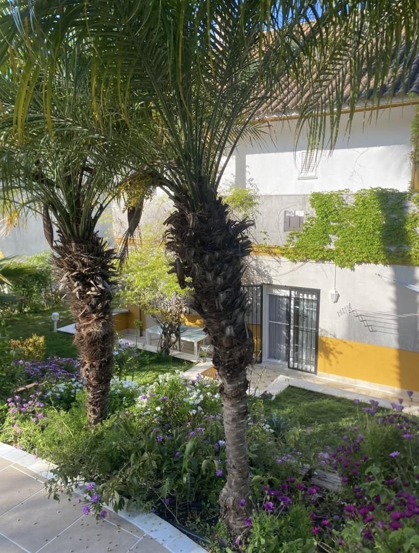 Chalet en  Calle Tamarindo 12 - Foto 12