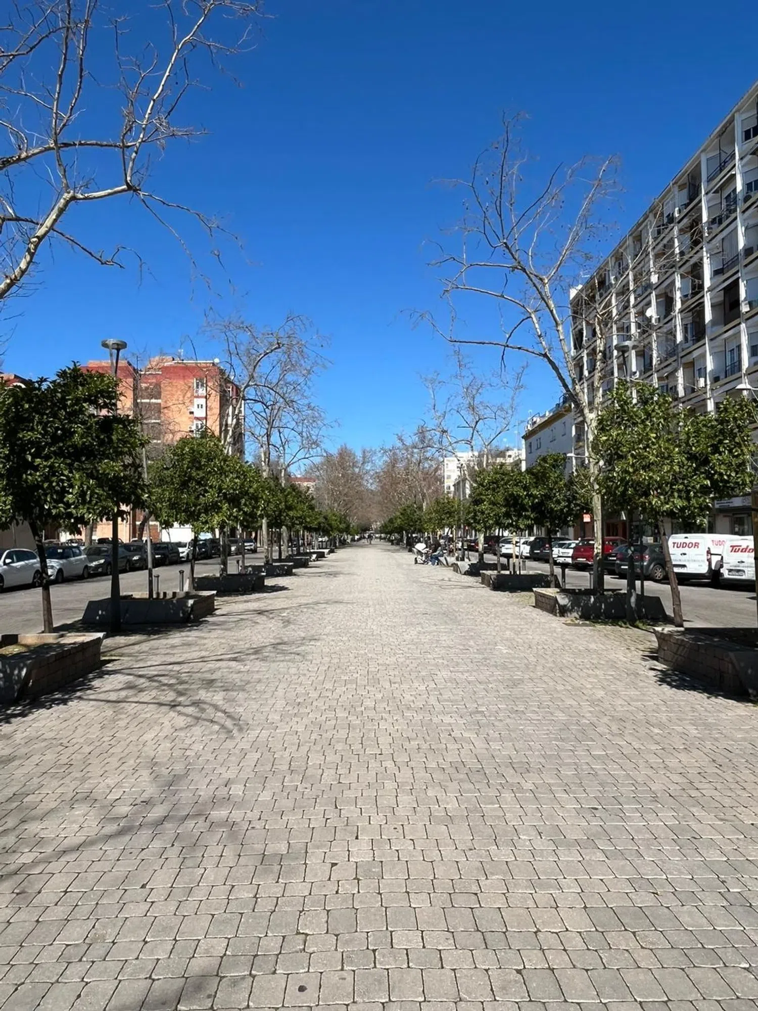 Piso en avenida Gran Vía Parque, 21 - Foto 11